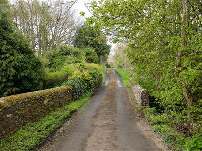Picture 43